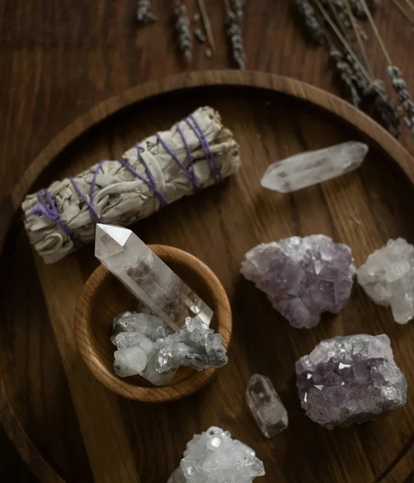 January Mimosa Website Home Page Slider 1 (3)