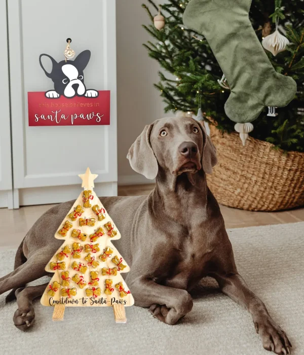 November Mimosa Website Home Page Slider 1 (2)